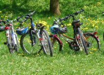 Group of bicycles